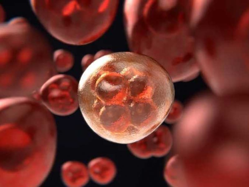 Υπερδιπλάσια πιθανότητα για καρκίνο στα παιδιά που γεννιούνται απο κατεψυγμενα ωάρια