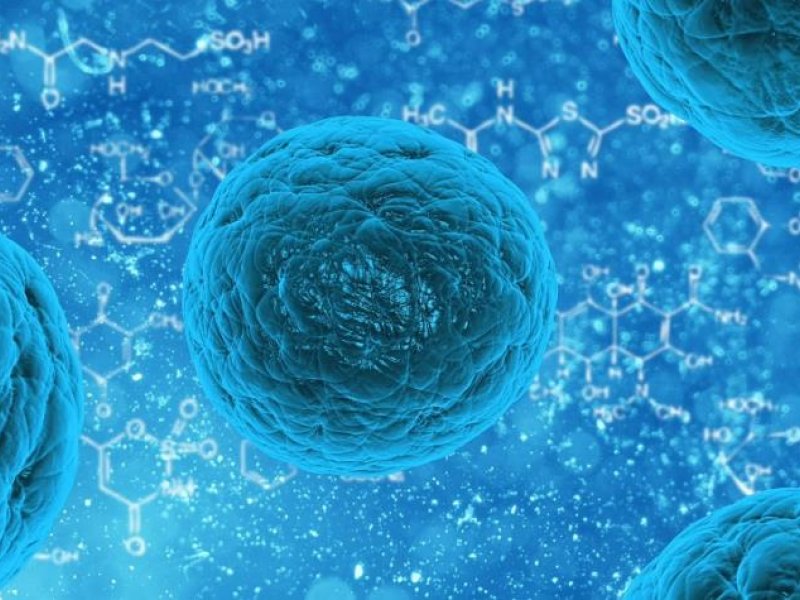Ανοσοποιητικό κύτταρο εξοντώνει όλους τους καρκίνους
