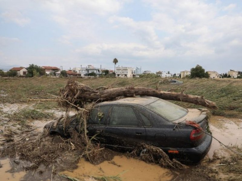 Έσπευσαν τα «κοράκια» στην Εύβοια για να βρουν πλημμυρισμένα αυτοκίνητα