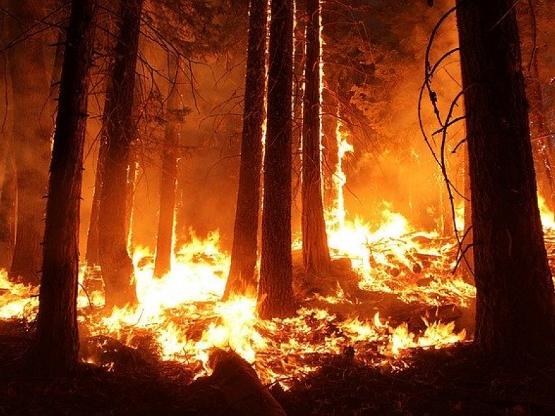Ιδιαίτερα υψηλός ο κίνδυνος πυρκαγιάς την αύρι Παρασκευή - Περιοχές σε κατηγορία κινδύνου 4