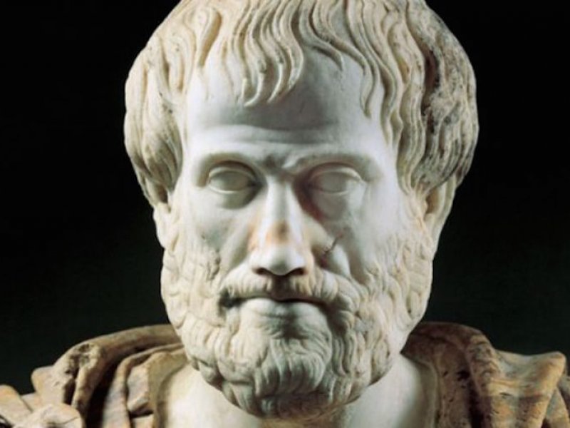 Ρεμπέκα Γκόλντσταϊν: Τι θα έκανε άραγε ο Αριστοτέλης με τον Covid-19;