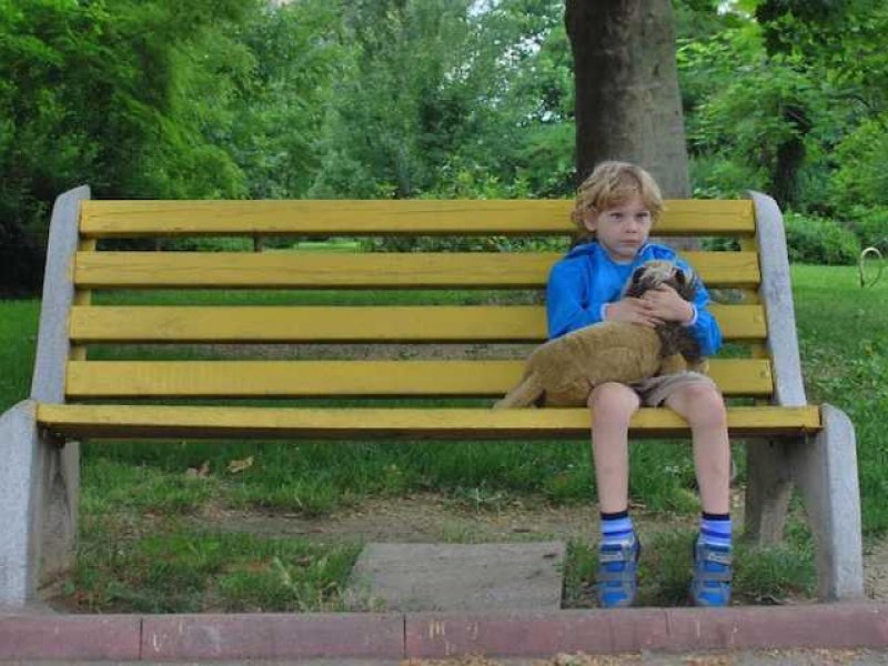 Πώς η κοινωνική απομόνωση βλάπτει σοβαρά τον παιδικό εγκέφαλο