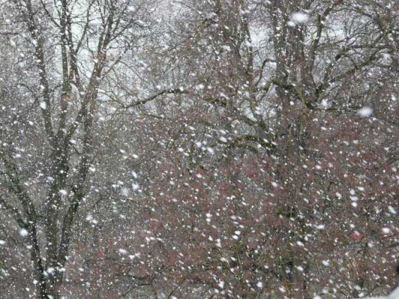 Και ο καιρός τρελάθηκε: Χιόνισε το μεσημέρι στην Πάρνηθα!