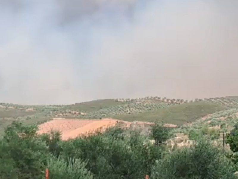 Μεγάλη φωτιά σε δασική έκταση στη Σπάρτη