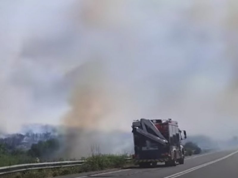 Φωτιά στα Τέμπη: Από τροχόσπιτο ξεκίνησε η φωτιά – Μεγάλη κινητοποίηση πυροσβεστικών δυνάμεων